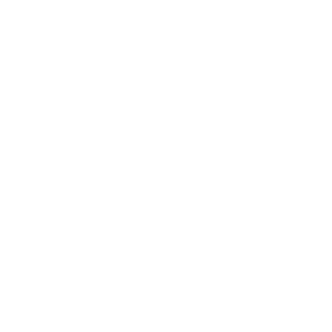 自有平台CROS操作專業